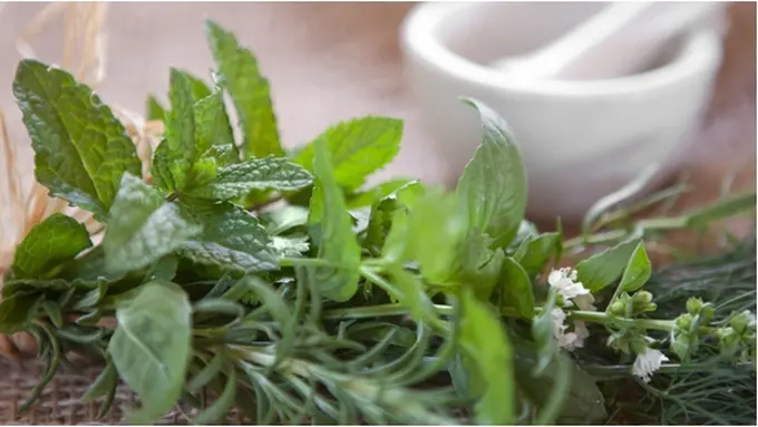 Foto Copyright thinkstockphotos.com