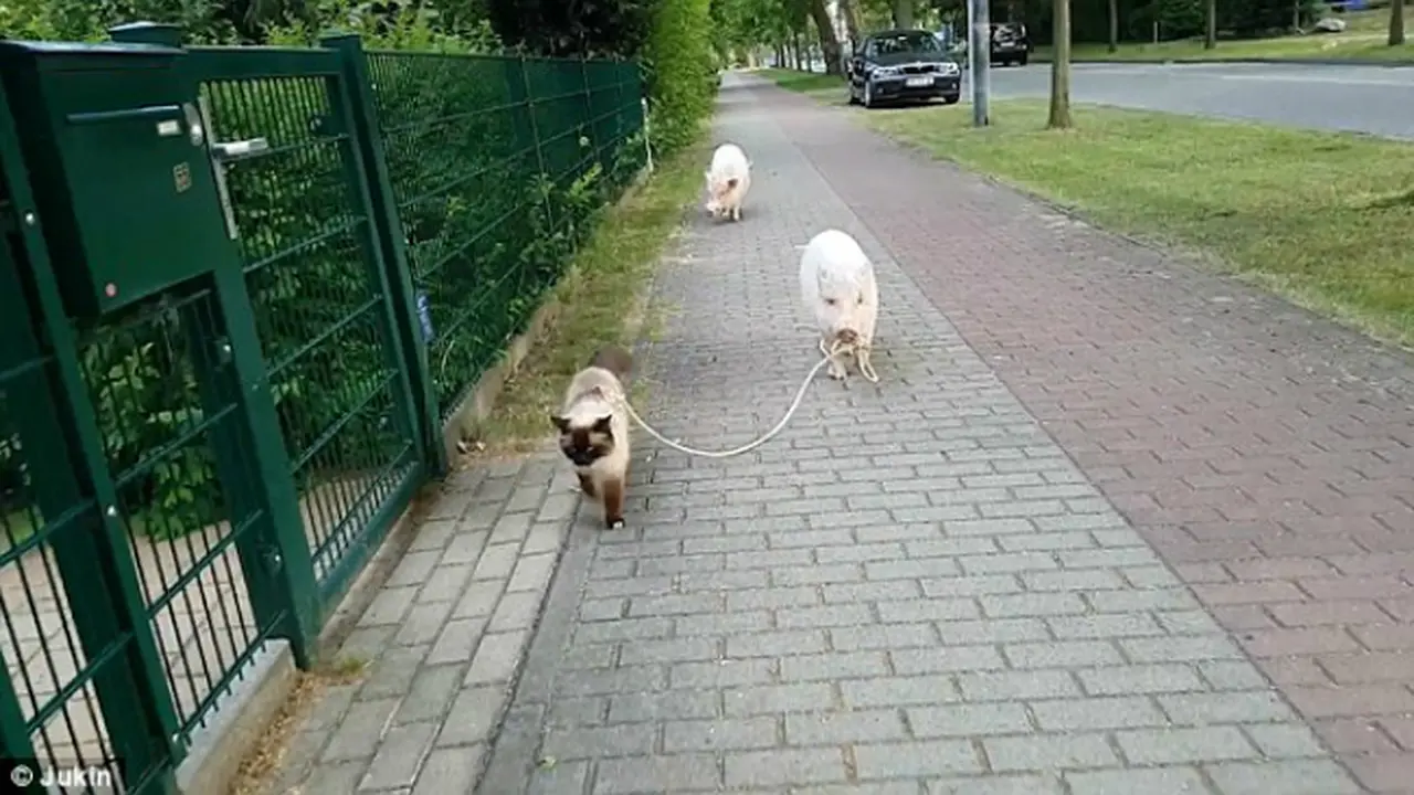 Leonardo & Moritz (0)