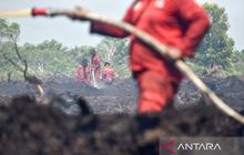 Petugas Berjibaku Padamkan Kebakaran Lahan Jambi, 5 Hektare Terdampak