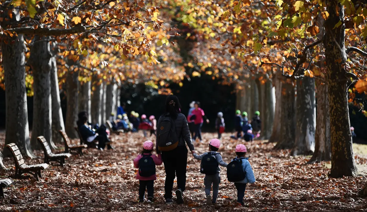 Seorang wanita bersama tiga anaknya berjalan di bawah dedaunan musim gugur ketika mereka menikmati cuaca di Gyoen Park di Tokyo (5/12/2019). Taman Nasional Shinjuku Gyoen adalah sebuah taman yang besar di area Shinjuku dan Shibuya, Tokyo, Jepang. (AFP/Charly Triballeau)