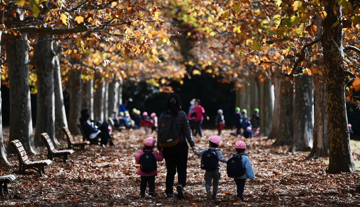 Seorang wanita bersama tiga anaknya berjalan di bawah dedaunan musim gugur ketika mereka menikmati cuaca di Gyoen Park di Tokyo (5/12/2019). Taman Nasional Shinjuku Gyoen adalah sebuah taman yang besar di area Shinjuku dan Shibuya, Tokyo, Jepang. (AFP/Charly Triballeau)