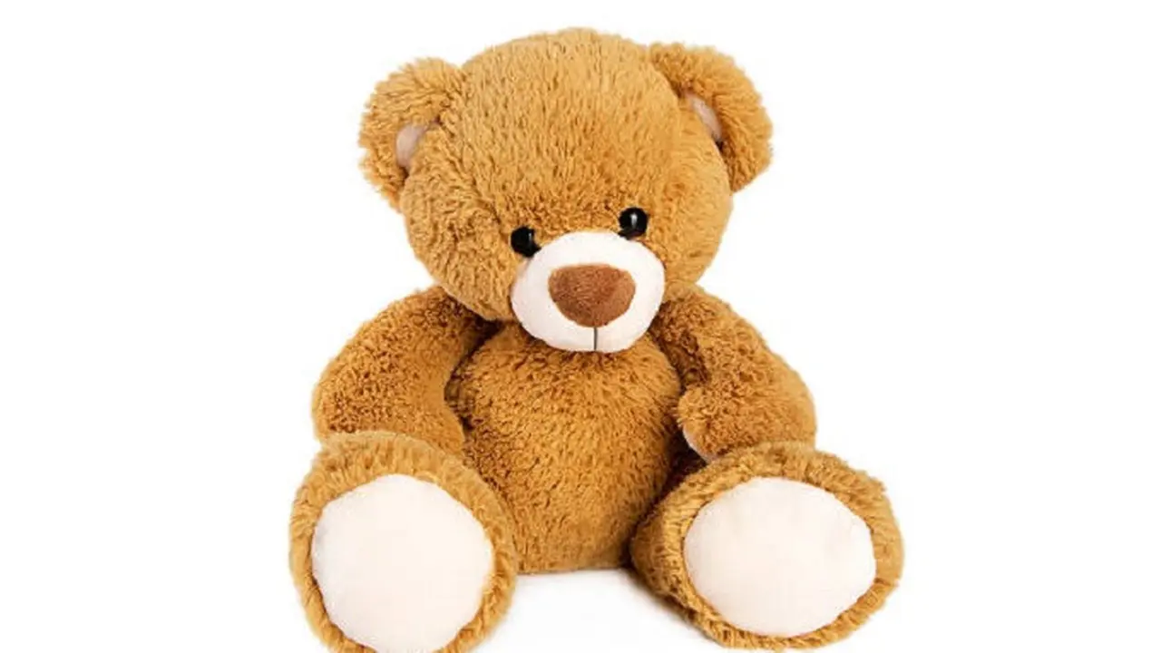 Boneka Beruang