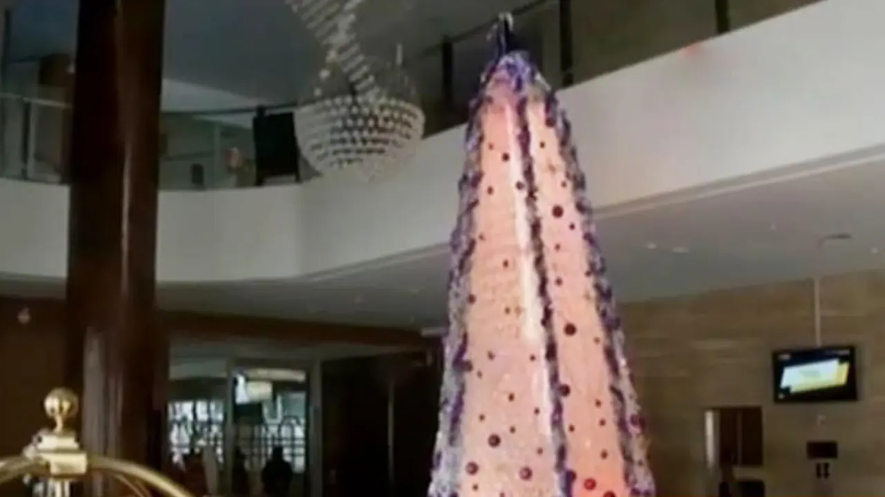 VIDEO: Kreasi Unik Pohon Natal dari Sedotan dan Botol