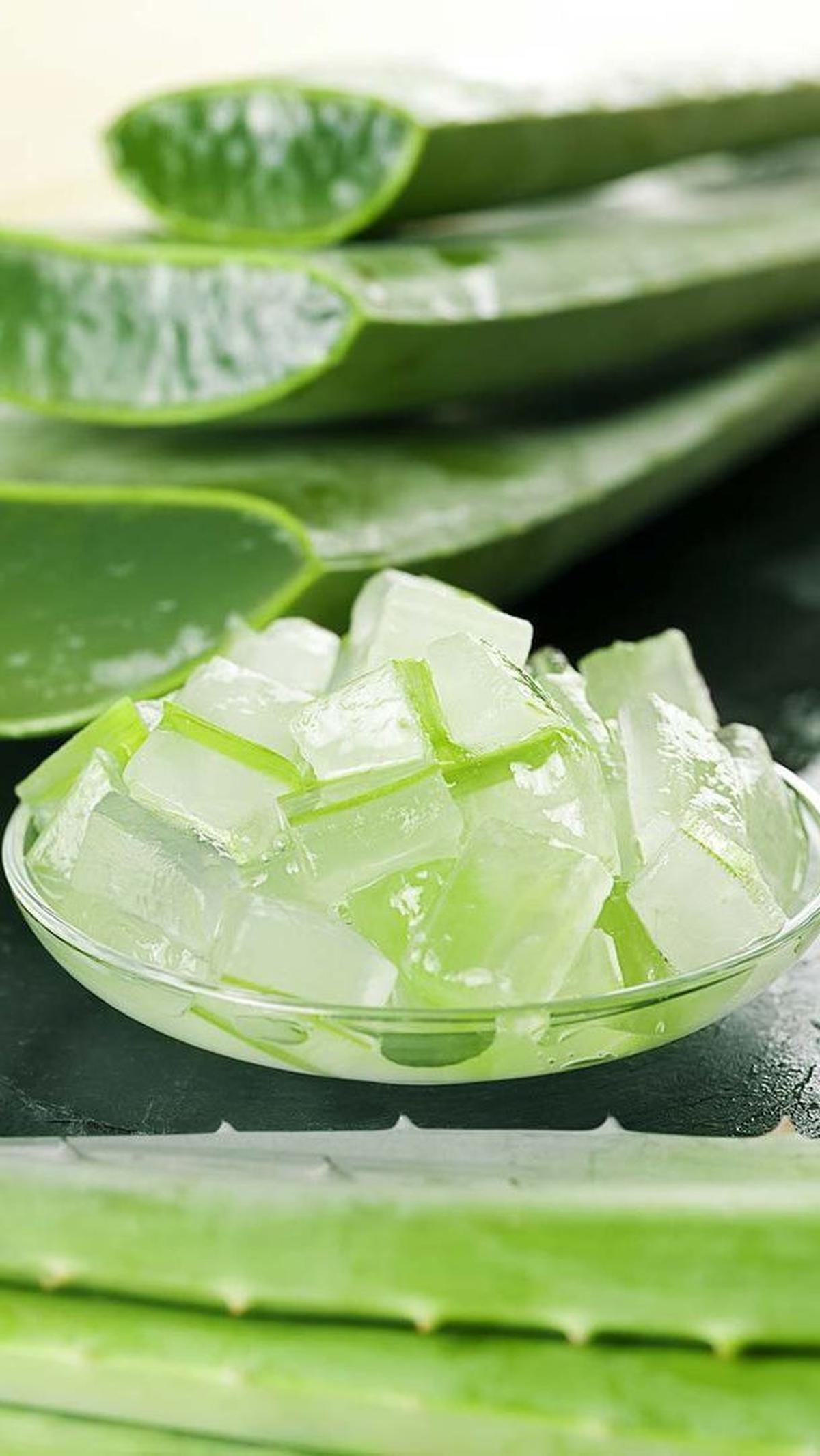 Aloe Vera Gel (Gel Lidah Buaya)