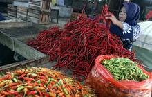 Update Harga Komoditas Pangan Nasional: Cabai Rawit Merah Tembus Rp41 Ribu, Telur Ayam Rp31 Ribu per Kg