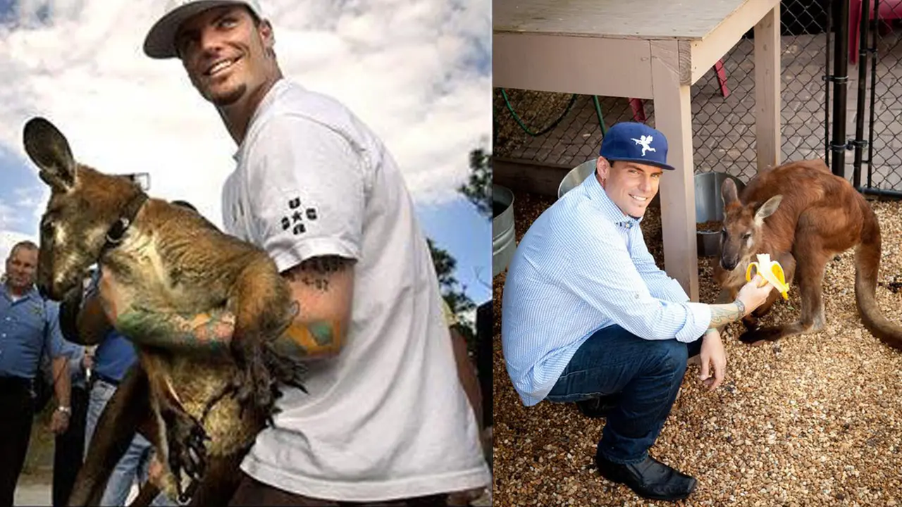 Vanilla Ice & walaru
