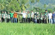 Bupati Sigi Ungkap Produktivitas Pertanian Jadi Kunci Stabilitas Ekonomi Daerah