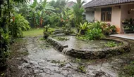 Kolam Ikan di Pekarangan Sering Meluap? Begini Cara Membuat Saluran Pembuangan yang Praktis