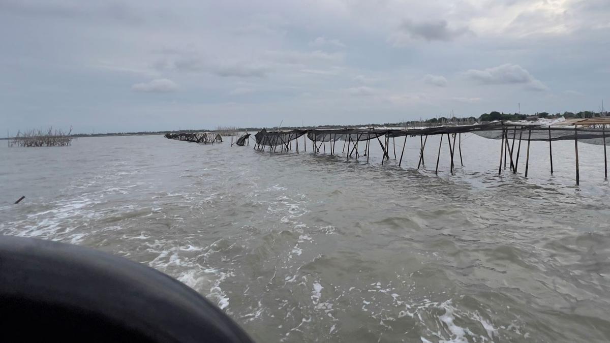 Penampakan Terkini Pagar Laut Misterius di Tangerang