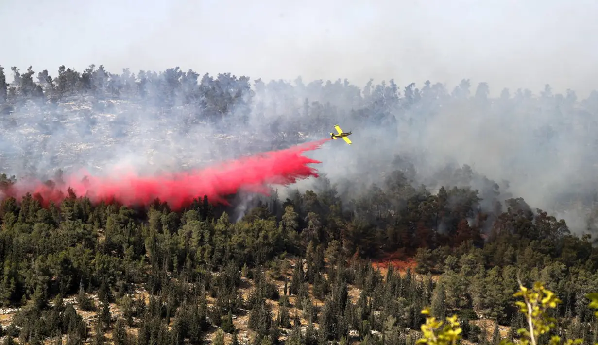 Sebuah pesawat pemadam kebakaran bekerja memadamkan api yang berkobar di kawasan hutan dekat Kibbutz Neve Ilan di sebelah barat Yerusalem, Israel, Rabu (9/6/2021). Puluhan petugas pemadam kebakaran dan 10 tanker udara berjuang memadamkan api. (Ahmad GHARABLI/AFP)