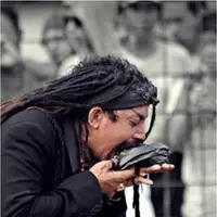 Limbad (via istimewa)