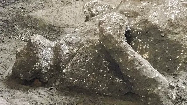 Jasad Penduduk Korban Erupsi Gunung Vesuvius Ditemukan di Pompeii