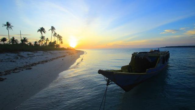 Pulau Ular juga memiliki terumbu karang yang indah.(Liputan6.com/La Dicky Milar Untuk Ahmad Akbar Fua)