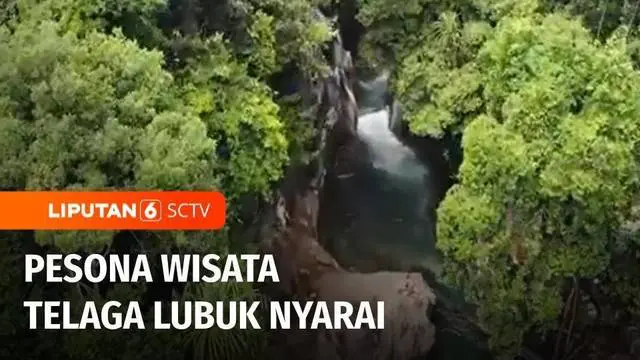 Telaga Lubuk Nyarai di Padang Pariaman, Sumatera Barat, siap menyajikan pemandangan indah yang memanjakan mata bagi wisatawan. Keindahannya membuat desa wisata Nyarai menjadikan satu dari 75 desa wisata terbaik.