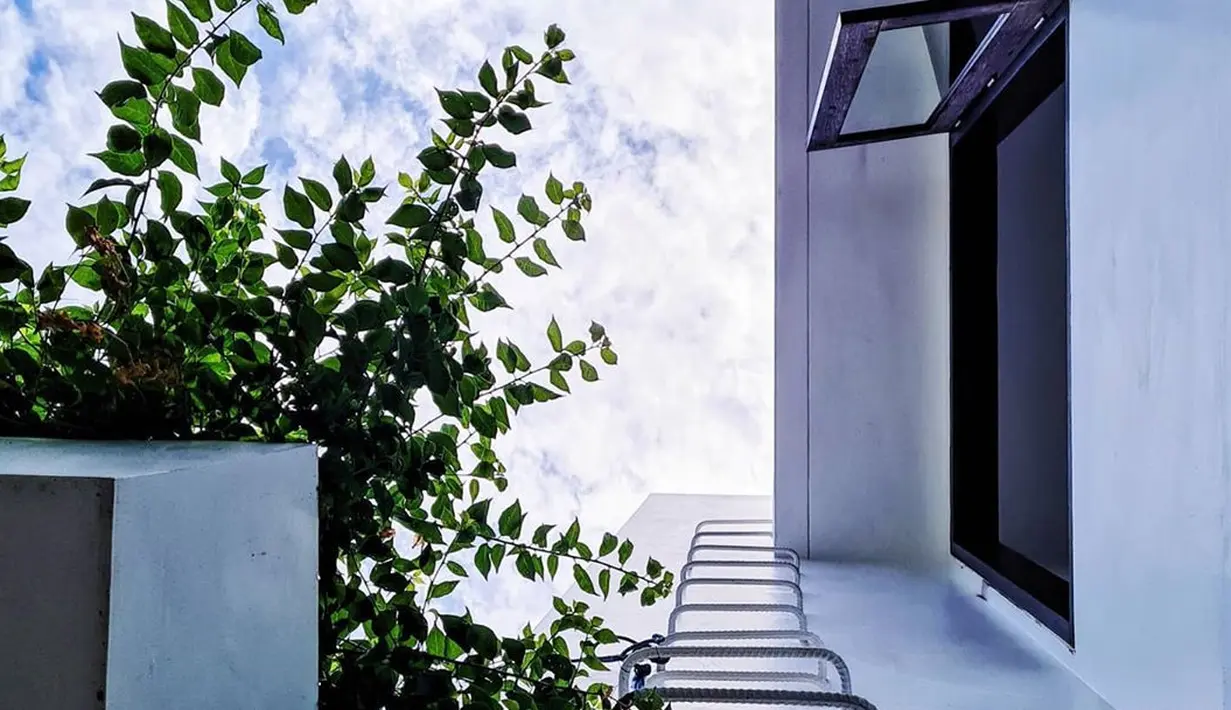 (Instagram/hamishdw)