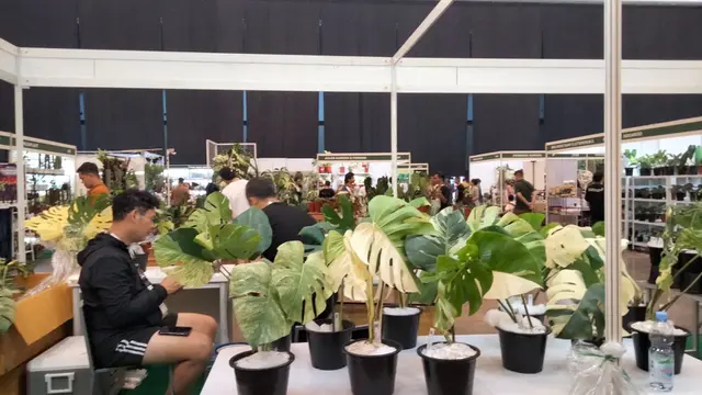 Tanaman hias di Floriculture Indonesia International Expo 2023