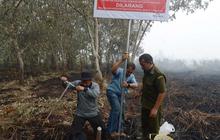 Ini lahan di Riau yang diduga sengaja dibakar