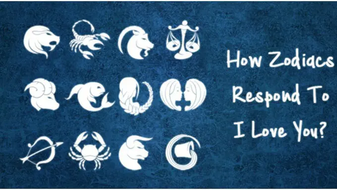 copyright by fireflydaily.com