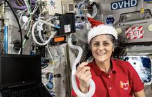 Sunita Williams Pulang dari Stasiun Luar Angkasa dengan Rambut Beruban, Apa Penyebabnya?