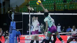 Kemenangan ini merupakan yang ketiga kalinya dari lima laga bagi Megawati Hangestri dkk di Proliga 2026. (Dok. PBVSI)
