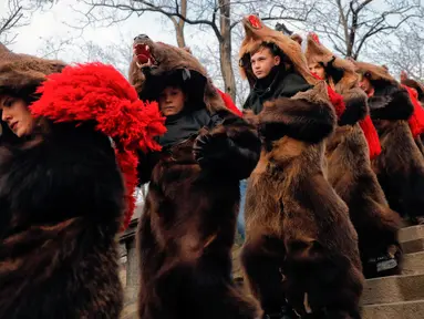 Sejumlah remaja mengenakan kostum beruang menari selama ritual tahunan di Piatra Neamt, Rumania Utara (28/12). Para peserta mengenakan kostum beruang untuk menangkal kejahatan di Tahun Baru. (AP Photo/Vadim Ghirda)
