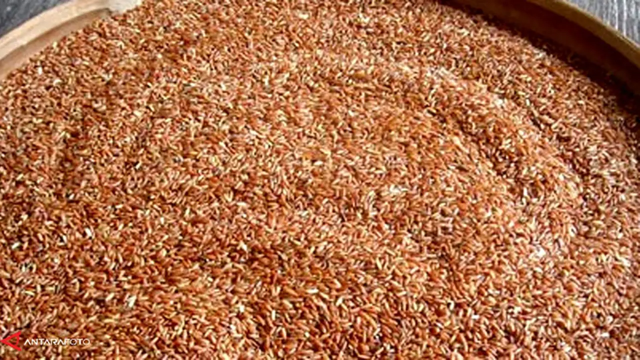 beras-merah-131002c.jpg