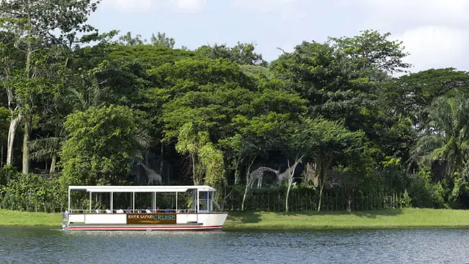 Foto: copyright Wildlife Reserves Singapore