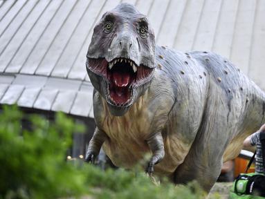 Berita Dinosaurus Hari Ini Kabar Terbaru Terkini