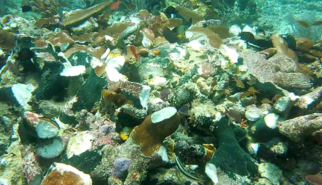Kondisi terumbu karang di perairan Raja Ampat, Papua, Senin (13/3). Terumbu karang di perairan tersebut rusak akibat dihantam kapal pesiar Inggris, Caledonian Sky saat berlayar hingga wilayah perairan yang surut di Raja Ampat. (AFP Photo/Bakamla)