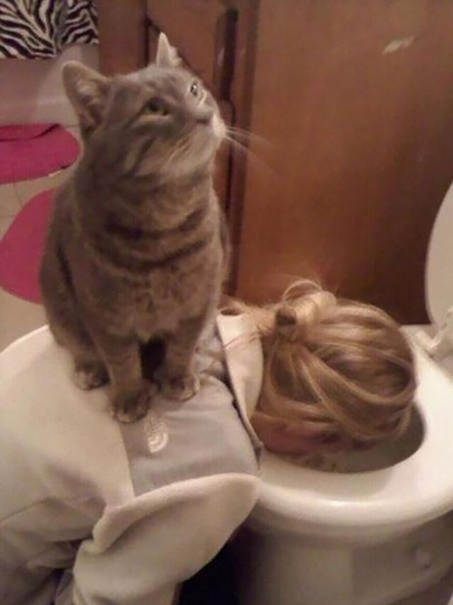 10 Potret Menggemaskan Kucing Tidur di Tempat Tak Biasa