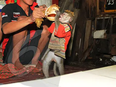 Kampung Monyet, Rumah Monyet Usai Mengamen