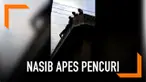Momen saat polisi menyelamatkan  tersangka pencurian di India. Tersangka terjatuh dari atas bangunan saat mencoba melarikan diri.