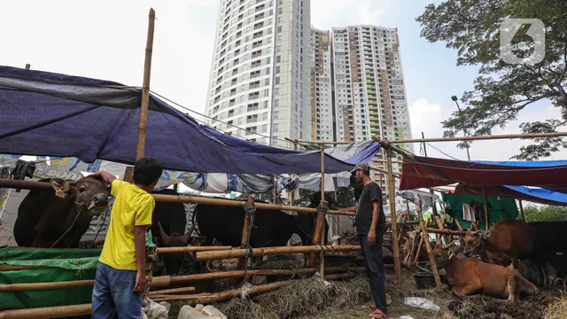 Pedagang Hewan Kurban Ramaikan Jakarta