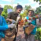 Proses pemetikan biji kopi di lahan kopi milik petani Masyito di Kabupaten Lahat Sumsel (Liputan6.com / Nefri Inge)