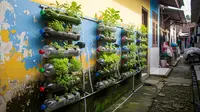 7 Ide Kebun Sayur Estetik dari Barang Bekas, Sulap Limbah Jadi Taman Produktif