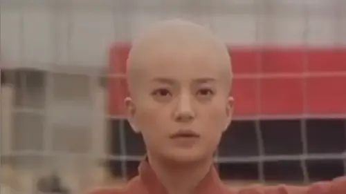 vicki zhao shaolin soccer