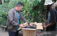 Kodim 1702/Jayawijaya Perkuat Dukungan UMKM Kopi Papua dengan Bantuan Lampu LED