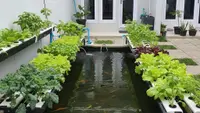 9 Desain Pertanian Terpadu Sederhana untuk Halaman Belakang Rumah Tipe 36