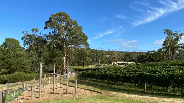 Green Olive Estate - Mornington Peninsula