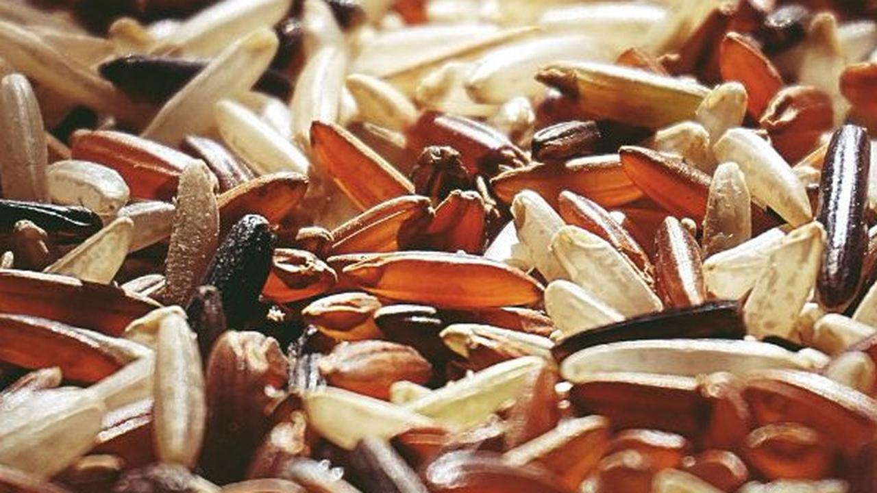 Diburu Warga, Stok Beras di Alfamart hingga Indomaret Kosong