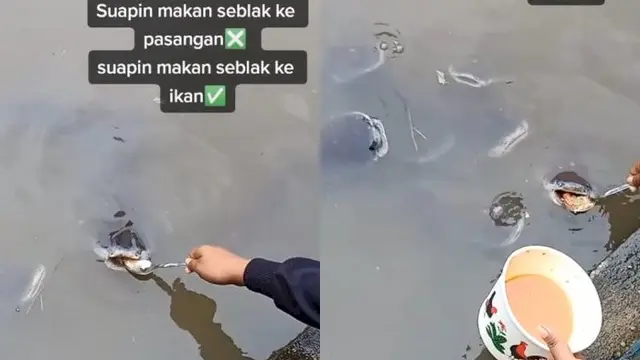 10 Potret Orang Beri Makan Ikan Layaknya Manusia Ini Kocak