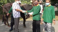 Peruri Beri Bantuan Hewan Kurban Beberapa Desa di Karawang
