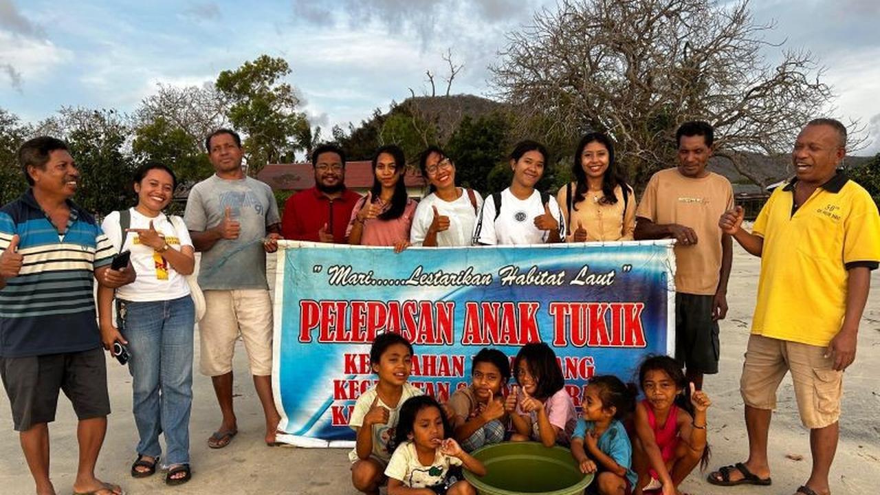 Fakta Unik: Pokmaswas NTT Berhasil Lepasliarkan 258 Tukik dari Tiga Sarang, Wujud Nyata Pelestarian Biota Laut