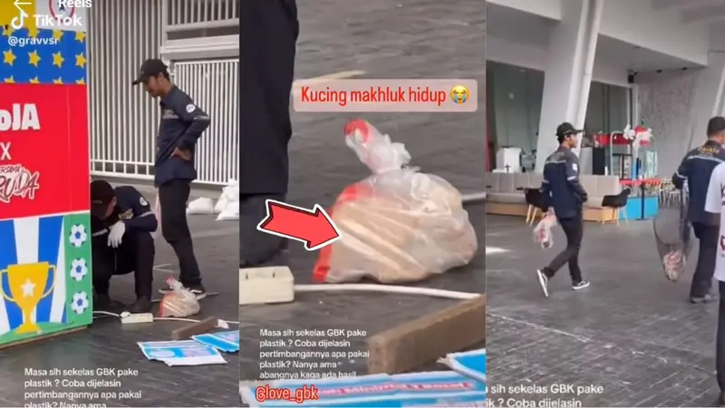Video Viral, Petugas Pengendalian Hama di GBK Masukkan Kucing Dalam Plastik dan Begini Kejadian Sebenarnya (Foto: Tiktok @gravvsr)