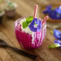 Resep sorbet buah naga./Copyright shutterstock.com/g/orangestudio83