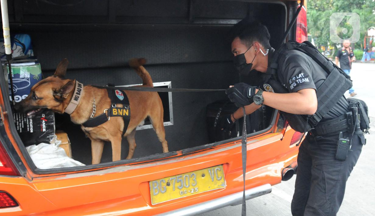 <p>Petugas mengerahkan anjing pelacak K9 BNN untuk memeriksa bagasi bus di Terminal Kampung Rambutan, Jakarta, Rabu (27/04/20222). Pemeriksaan dengan anjing pelacak tersebut dilakukan guna mengantisipasi peredaran narkoba di tengah arus mudik menyambut Lebaran atau Hari Raya Idul Fitri 1443 H. (merdeka.com/Arie Basuki)</p>