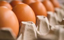 Trik Simpan Telur Agar Awet sampai 5 Minggu, Tak Perlu Disimpan dalam Kulkas