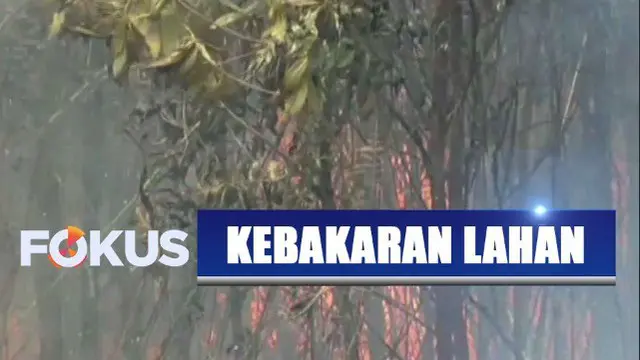 Minimnya sumber air dan kencangnya hembusan air membuat petugas kewalahan memadamkan api.