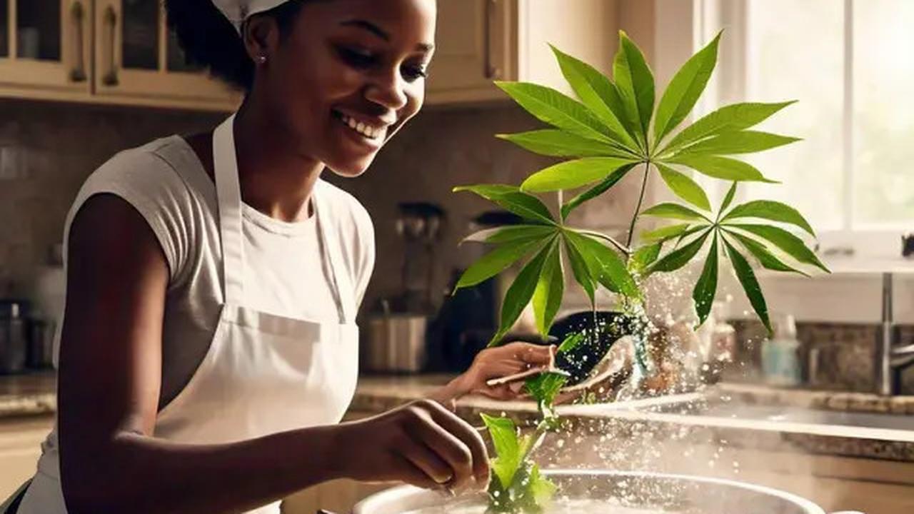 Trik Rahasia Daun Singkong Ala Restoran Padang Tetap Hijau dan Empuk