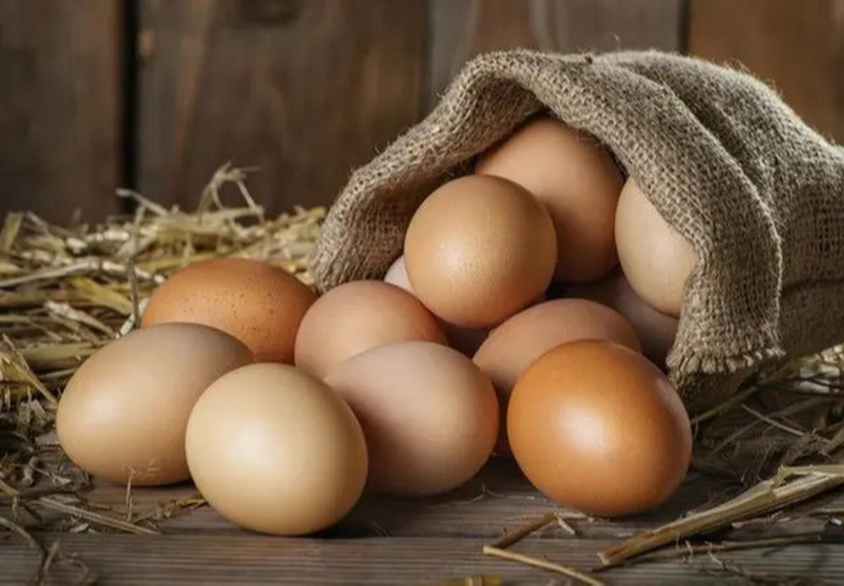 Resep Menu Makanan Tinggi Protein yang Rendah Kolesterol